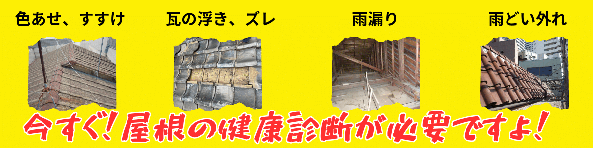 屋根の定期健診
